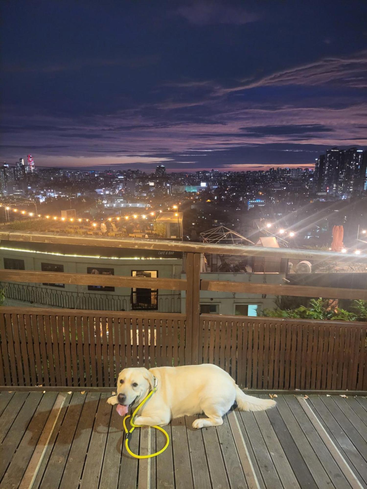 Brand New 2 Bedroom Apartment #6 Seoul Eksteriør bilde