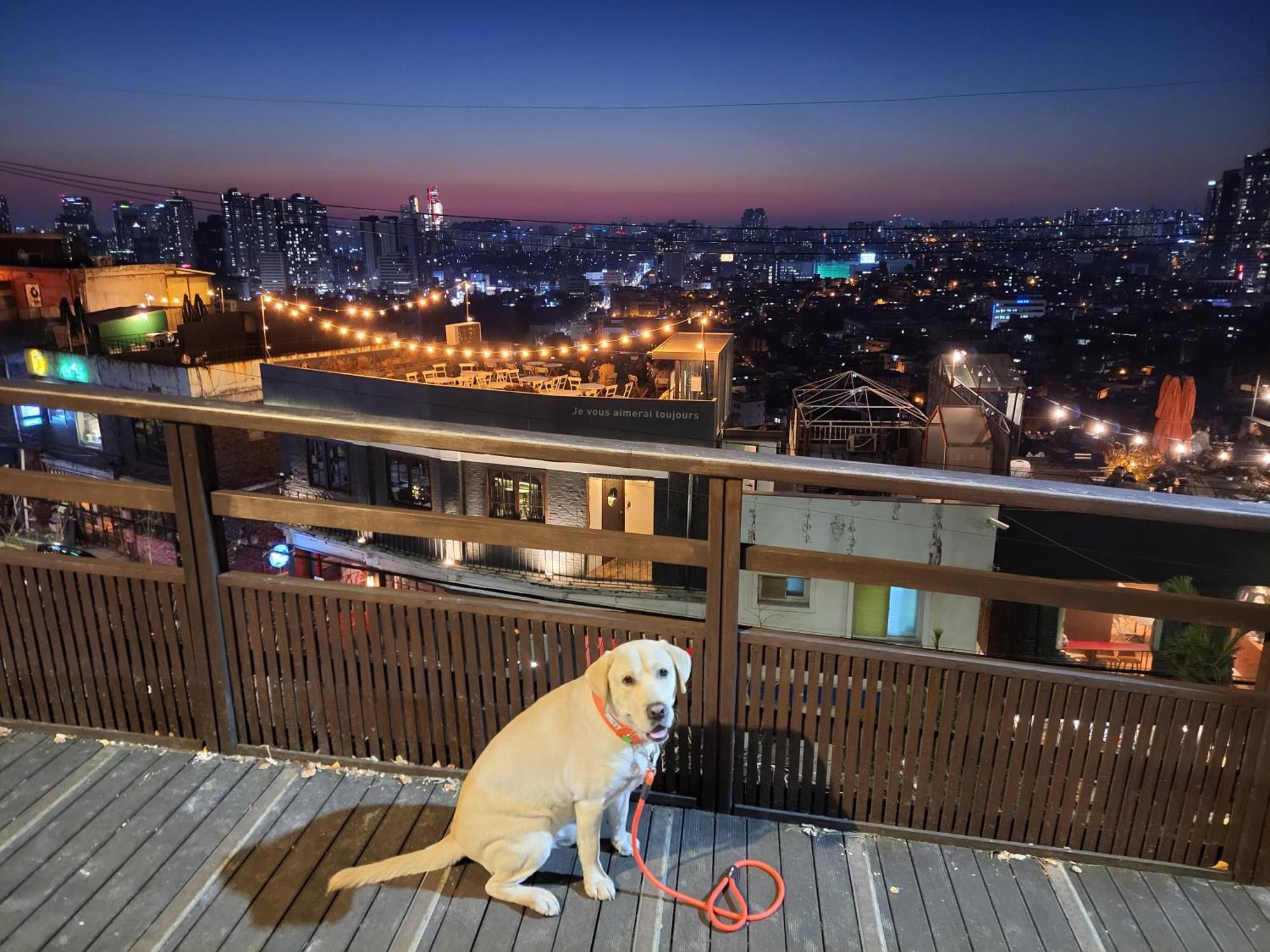 Brand New 2 Bedroom Apartment #6 Seoul Eksteriør bilde