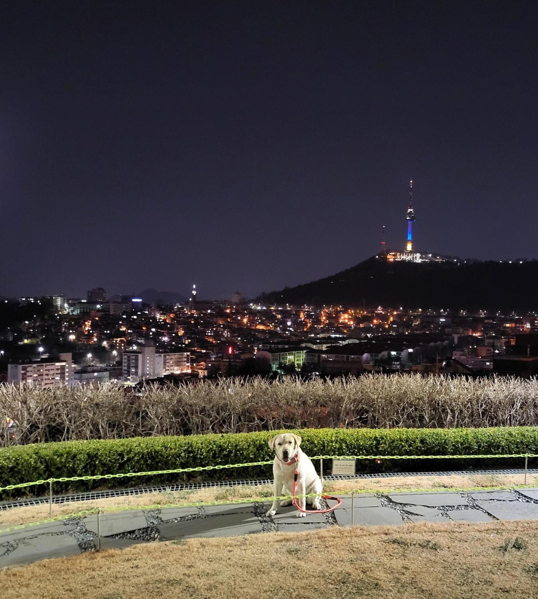 Brand New 2 Bedroom Apartment #6 Seoul Eksteriør bilde